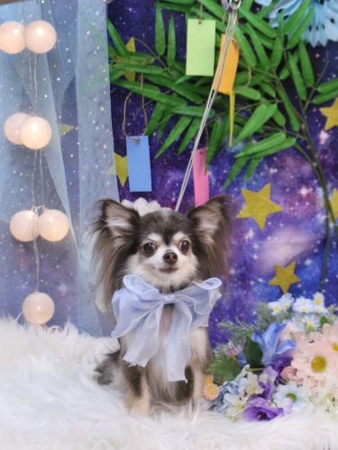 20250711空太くん 